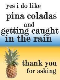 Escape Pina Colada Song Tribute Rupert Holmes By Thesilentmantis On Deviantart