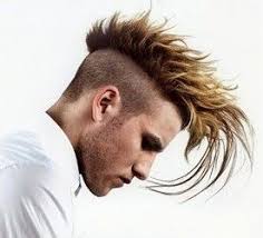 Long Punk Hairstyles Punk Hair Styles Mens Hairstyles Hair Styles Punk Hair