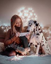 werbung nicht nur wir menschen beschenken uns zu weihnachten sondern auch lio staubt jedes jahr einiges ab von einem adventskalender bis zu einem dalmatian
