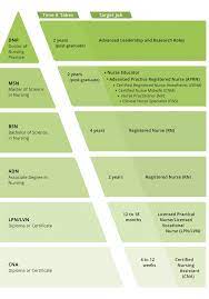 There are a variety of nursing specialties that registered nurses (rns) can pursue upon earning their license. Nursing Degrees Explained All Nursing Schools