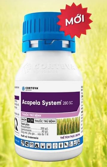Acapela System® 280SC