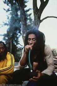 No te pierdas todos los días sale el sol a las 8 a.m. Pin On Weedsss