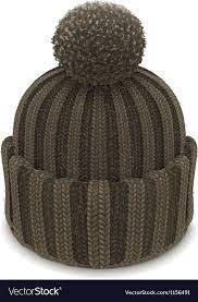 Winter Knitted Bubble Hat Vector Image On Vectorstock Hat Vector Business Icons Vector Vector Images