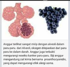 Taukah Anda Keajaiban Buah Ini Cara Sehat Alami Kesehatan Alami Kesehatan Alternatif Obat Alami