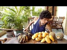 Un Regime Frugivore La Pratique