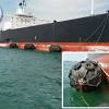 Here we have listed 10 of the top vessel tracker websites and applications that are commonly used for vessel finder is another important website and one of my favorite ship tracking websites for free ais ship tracking. 1