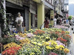 Dried flower wholesale resources, bulk dried flowers, dried flowers wreaths. Bulk Suppliers Of Flowers Also Seeing Upside In Retail Trade The Star