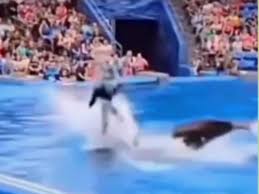 Atenție! Video este spre vizionare... - Horatiu Radulescu