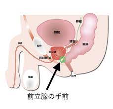 指でアナルイキ】アナルセックスでケツイキさせる方法【前立腺の刺激方法と前兆】 - ノンケのアナル 〜リアルBL日記〜