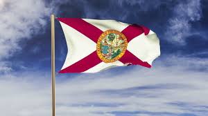 It consists of a red saltire on a white background, with the state seal superimposed on the center. Petition Allow Floridians To Propose A New Flag For Their State Change Org