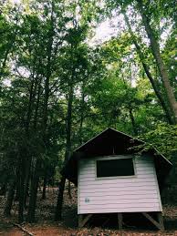 We did not find results for: Nina Braca On Twitter In Effort To Avoid The Internet I Spent The Weekend At A Writing Workshop In The Woods Where I Stayed Alone In A Cabin And Somehow Didn T End