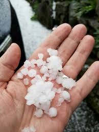 Check spelling or type a new query. Flying Squirrel Pizza Photos Gaycities Seattle