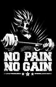 Pin En Palestra