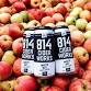 Anna Pearl Belinda: 814 Cider works, J.L. Farm & Cidery, Saturday, Feb 21st, 6:00-8:00 PM