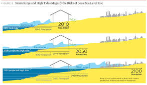 The High Costs Of Sea Level Rise Sea Level Rise Sea Level How To Level Ground