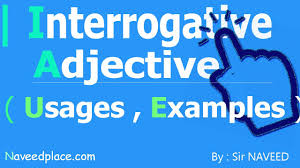 Interrogative Adjectives Definition Examples With Pictures