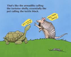 Cachicamo Diciendole Al Morrocoy Conchudo Translation That 8217 S Like The Armadillo Calling The Tortoise Shelly Essentially Tortoise Venezuelan Armadillo