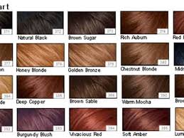Which Disney Princess Do You Look Like Bronze Hair Color Hair Color Chart Brown Hair Color Chart