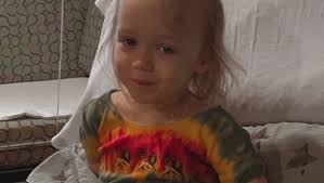 Fundraiser for Liana Mays by Daniel Cornett : Help for Liana Paige Mays and  children