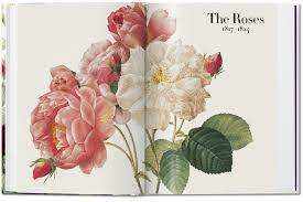Anniversary flowers are the classic way to mark a special date. Redoute Das Buch Der Blumen 40th Ed Taschen Verlag