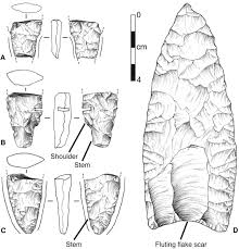 Watch chad clovis & india summer online on youporn.com. Clovis Age Western Stemmed Projectile Points And Human Coprolites At The Paisley Caves Science