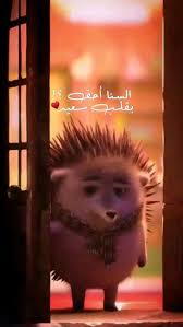 ألسنا احق بقلب سعيد um guia imersivo de syeℓma ۦ