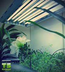 .optic led grow lights was formed by experienced growers who traditionally utilized high growers who traditionally utilized high intensity discharge lighting and achieved. Extend Your Growing Season With T5 Grow Lights Green Life Tips