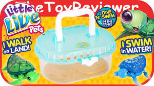 Little Live Pets Turtle Tank Digi Unboxing Toy Review By Thetoyreviewer Youtube