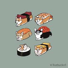 We will now draw in sushi cat's face which is just some simple eyes, a nose, mouth and whiskers. Cat And Dog And Food Drawing Picture Blog Lif Co Id