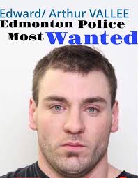 The Edmonton CRIME Report