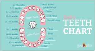 Image result for Teething