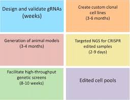 Each cell line comes with a datasheet enabling users to choose those likely best to meet their needs. Crispr In Animal Model Generation Functionalizing Genome Editing For A Broad Range Of Targets