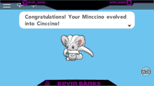 How Does Minccino Evolve