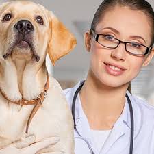 TOP 10 BEST Pet Clinic near South Point, OH