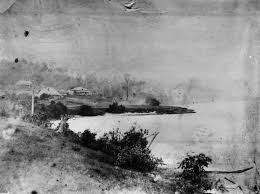 Early View Of Hamilton Brisbane 1868