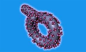 Maybe you would like to learn more about one of these? Free Ebola Virus Structure In 3d Vr Apk Download For Android Getjar