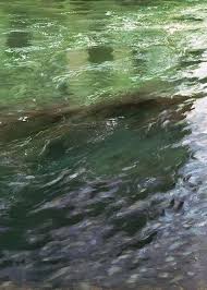 Bilder Malen In Der Malschule Im Mag32 In Hilden Henkenheide 32 Hier Kannst Du Erfolgreich Bilder Malen Z B Wa Landschaftsmalerei Landschaftsbau Wasser Malen