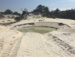 No need to worry about your bottom dwelling, sand sifting fish with this substrate. Natural Sand Natural Sand Suppliers And Manufacturers At Alibaba Com