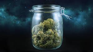 Highest Thc Strains What Are The Strongest Weed Strains Of 2020