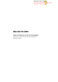 BÁO CÁO TÀI CHÍNH