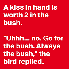 The meaning of this proverb is that a bird in your hand is certainly yours, but when you see two more birds in a bush and get tempted to get hold of them. A Kiss In Hand Is Worth 2 In The Bush Uhhh No Go For The Bush Always The Bush The Bird Replied Post By Irb On Boldomatic