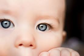 Cuando Empiezan A Ver Los Bebes Guia