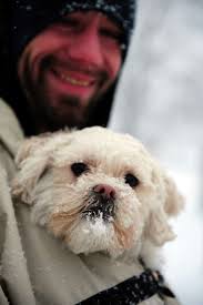 Storm brings accidents in Stamford, major roads closed