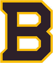 Since then, it has been tweaked several times. Diy Boston Bruins Iron On Transfers Logos Letters Numbers Patches Hockey Iron Ons