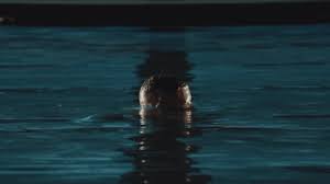 Check spelling or type a new query. Drake Funny Gifs Get The Best Gif On Giphy
