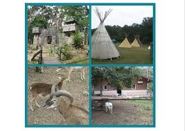 Tierpark Sommerhausen Unser Lieblingsausflugsziel Mit Kindern In Unterfranken Mama Im Spagat Tierpark Ausflug Ponyreiten