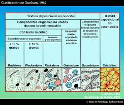 Clasificacia N De Dunham 1962 Geologia Rocas Sedimentarias Sedimentarias