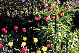 Check spelling or type a new query. Life As Kim Upside Down Flowers Mysundayphoto