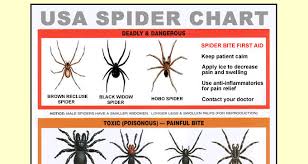 free usa spider identification chart free samples hub