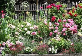 These flowering plants for wet soil can transform a previous problem area into a colorful focal point in your garden. Types Of Roses 30 Gorgeous Rose Varieties For Your Garden